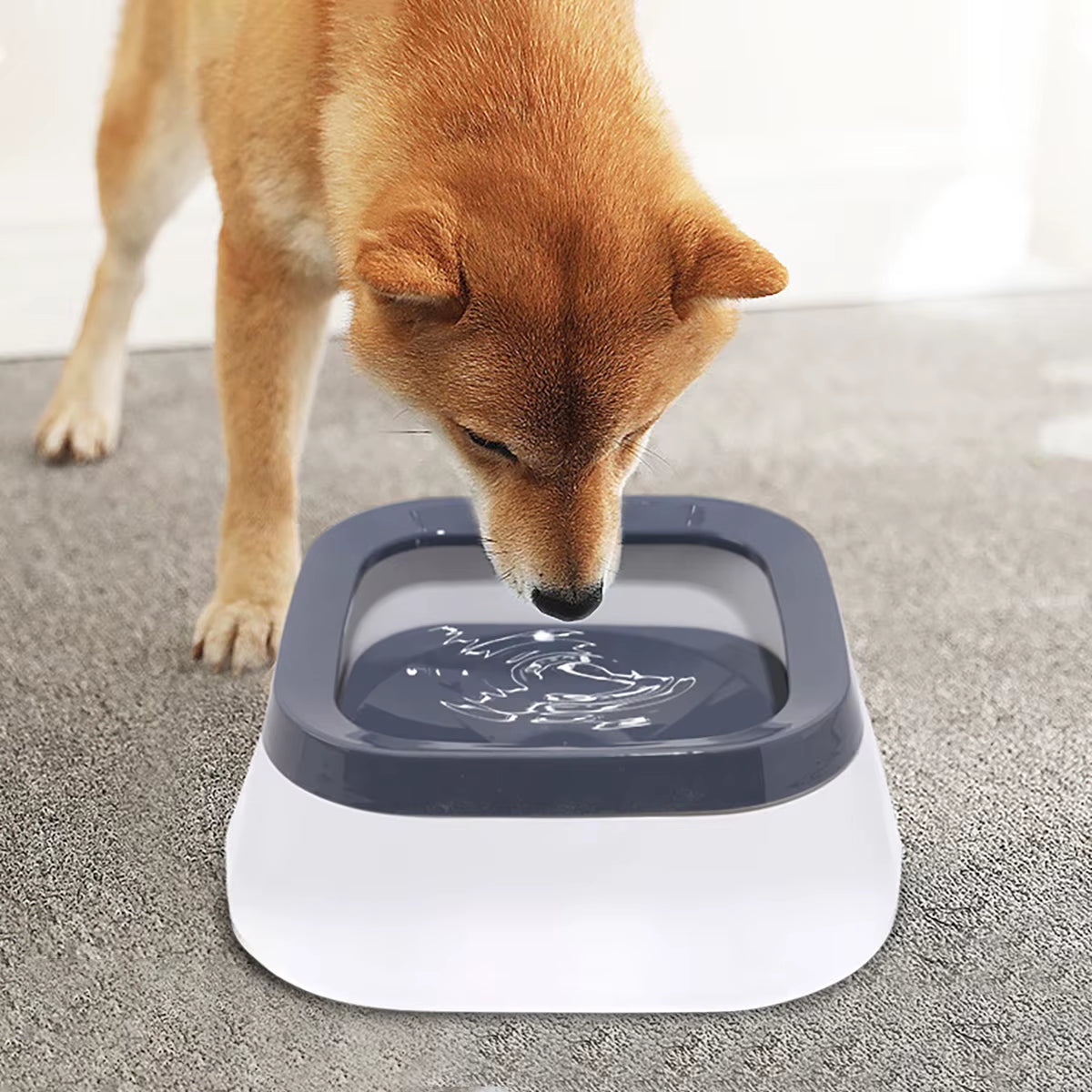 Revolutionary No-Spill Dog Water Bowl: Floating Feeder for Mess-Free Hydration